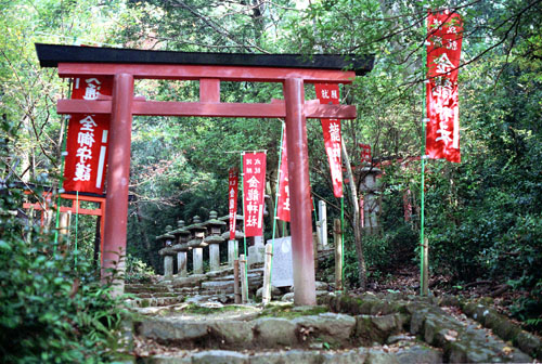 photograph of red torii gates, Nara, Japan, 1992 by A.E. Graves