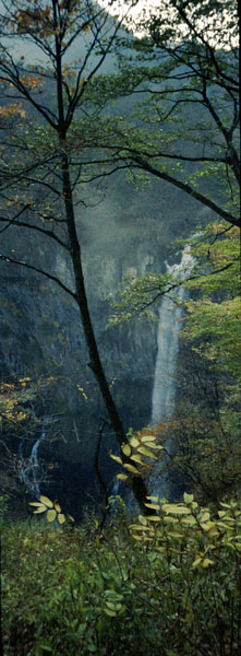 photograph of Kegon Falls, Japan, 1992 by A.E. Graves