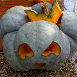 third face of jack o lantern carved into strangely lobed winter squash
