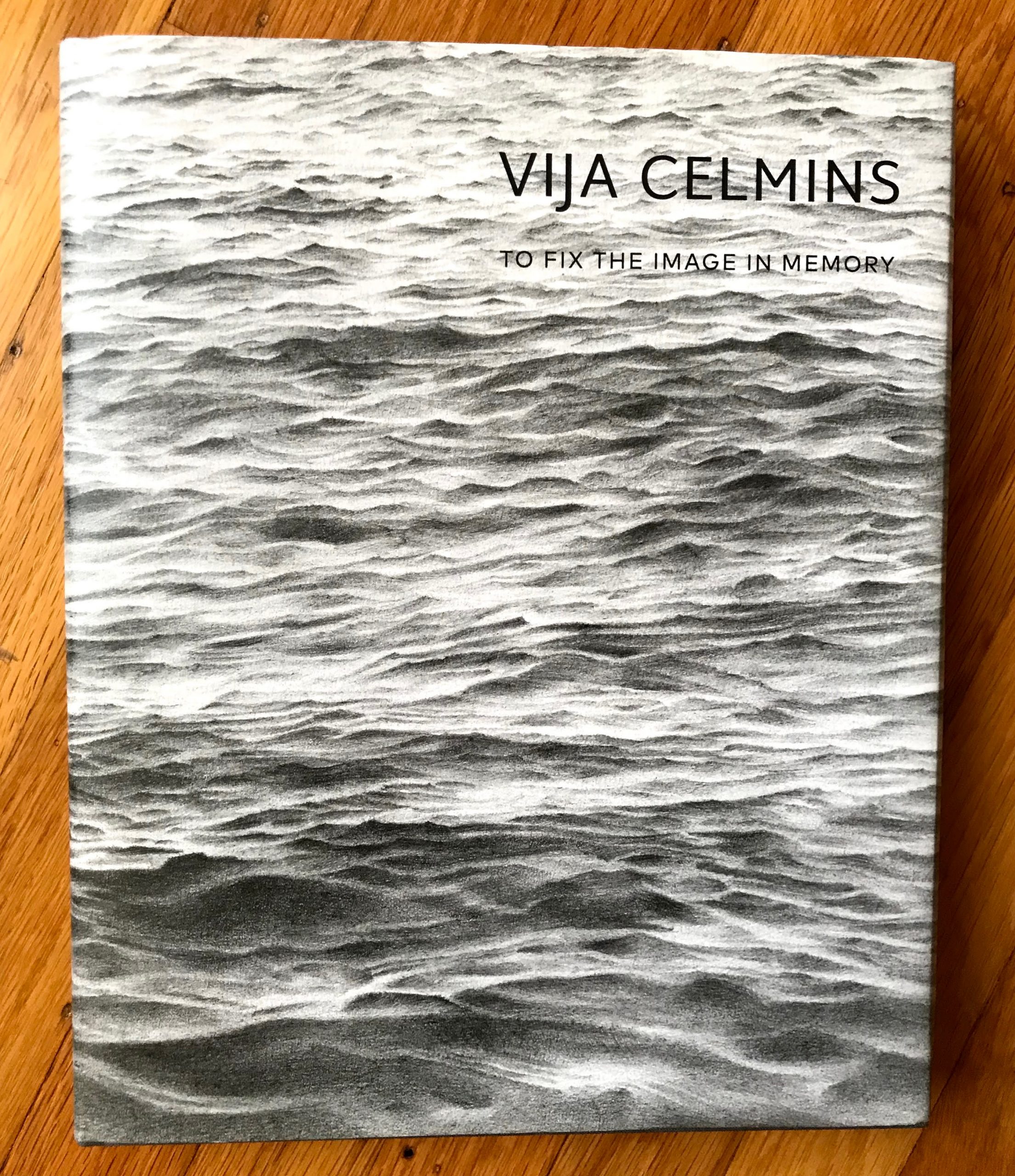 Cover of Vija Celmins: to Fix the Image in Memory