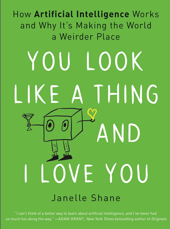 Cover of You Look Like a Think and I Love You by Janelle Shane