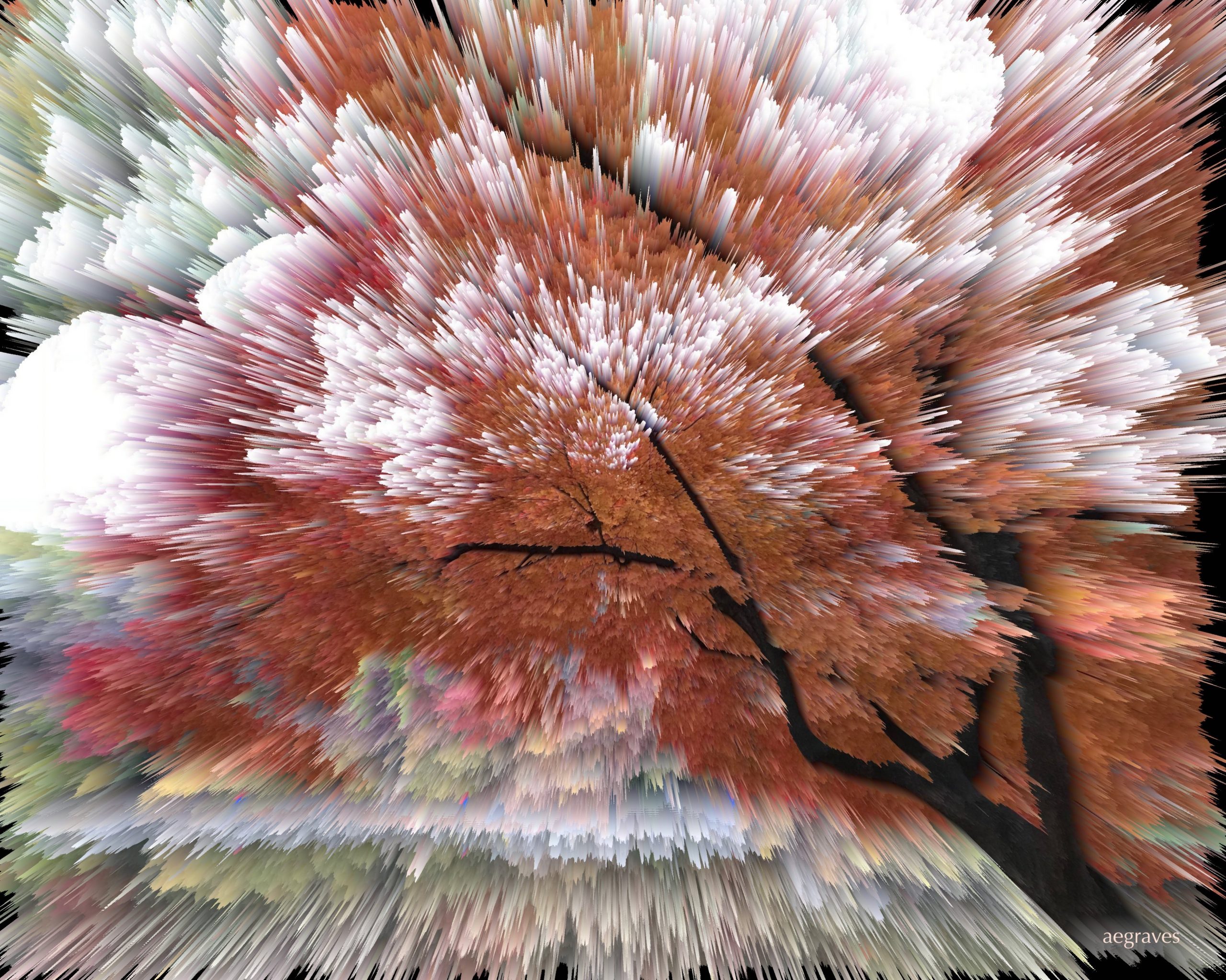 Seoul Tree (Light Burst)