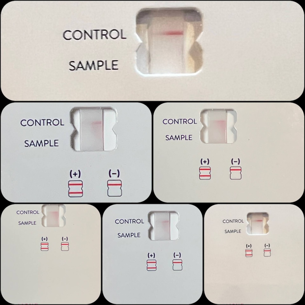 A repeating collage of my most recent negative COVID test results