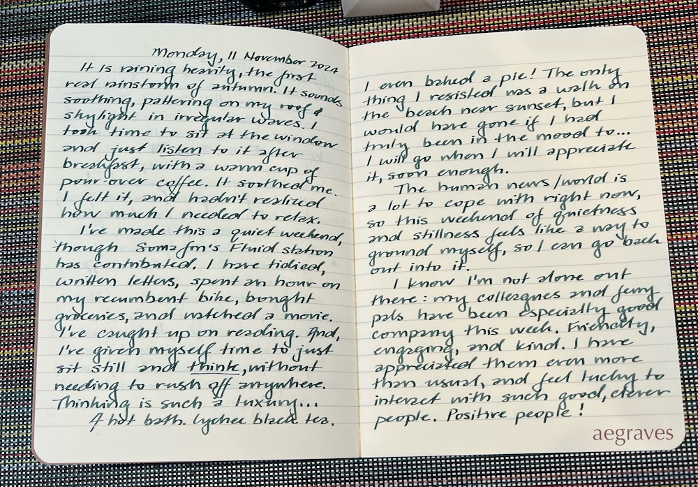 Handwritten journal entry dated November 11, 2024 about the first real rain of autumn, and various cozy indoor activities.