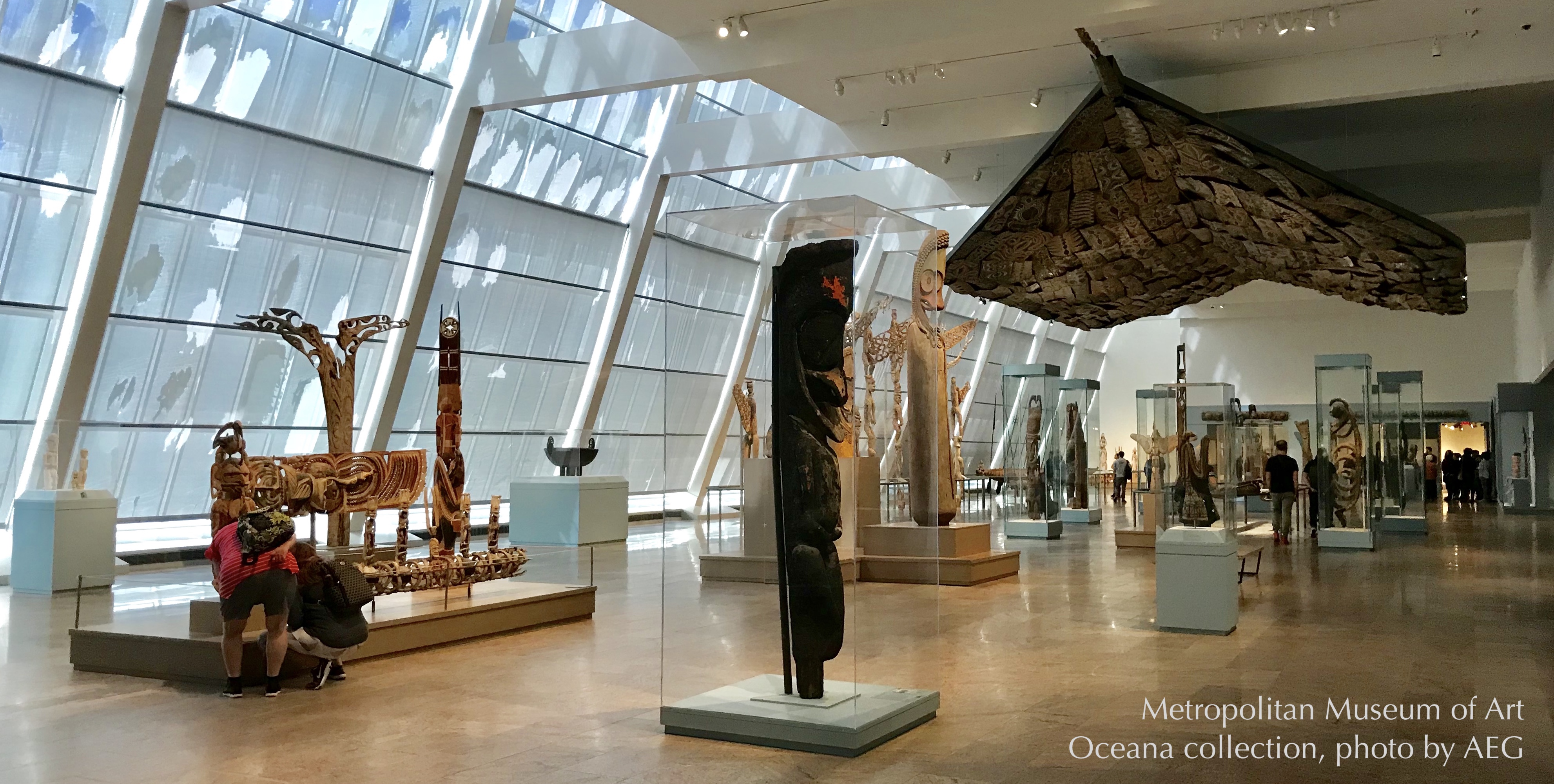 Oceana collection in the Metropolitan Museum of New York City, photo by A.E. Graves