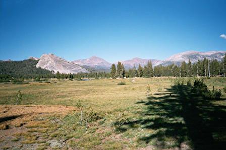 Tuolumne Meadows looking toward Lembert Dome (on the left)